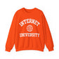 "Internet University" Sweatshirt